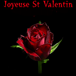 Gif animé joyeuse Saint Valentin rose rouge